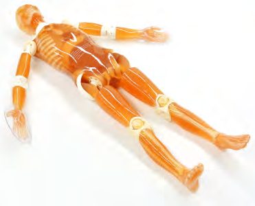 PH-2 Whole Body Phantom PBU-50 — fantoma Kyoto Kagaku distribuido en México por Radical One