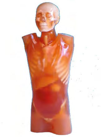 PH-4 CT Torso Phantom CTU-41 — fantoma Kyoto Kagaku distribuido en México por Radical One