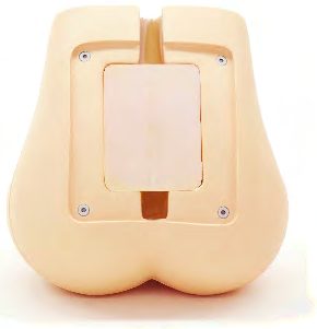 PH-51 Lumbar Spine Fluoroscopy Training Model — fantoma Kyoto Kagaku distribuido en México por Radical One