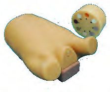 PH-8 Lung Cancer Screening CT Phantom LSCT-001 — fantoma Kyoto Kagaku distribuido en México por Radical One