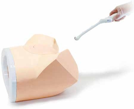 US-10A Female Pelvic Ultrasound Phantom — set completo (7 semanas) — fantoma Kyoto Kagaku distribuido en México por Radical One