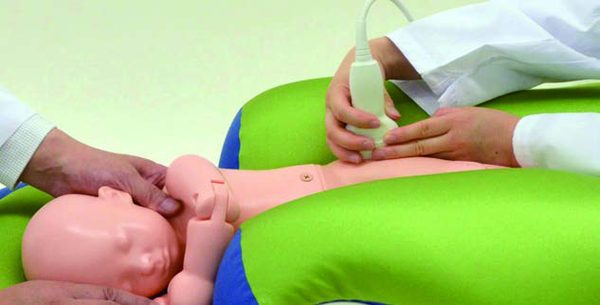 US-13 Infant Hip Sonography Training Phantom — fantoma Kyoto Kagaku distribuido en México por Radical One