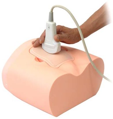 US-16 Bladder Ultrasound Phantom — fantoma Kyoto Kagaku distribuido en México por Radical One
