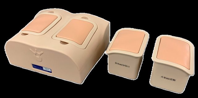 US-19 ECHOLUNG — Lung Ultrasound Training Phantom — fantoma Kyoto Kagaku distribuido en México por Radical One