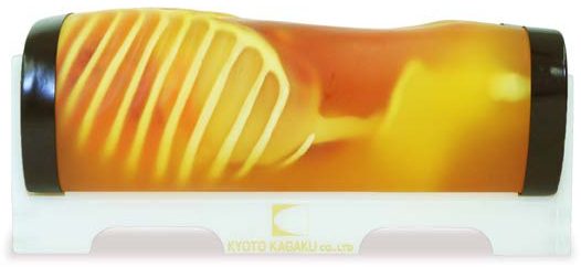 US-5 FAST/ER FAN — Acute Abdomen Phantom — fantoma Kyoto Kagaku distribuido en México por Radical One