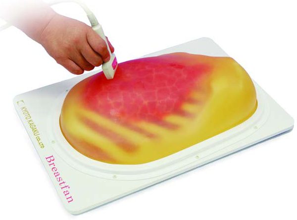 US-6 BREAST FAN — Breast Ultrasound Examination Phantom — fantoma Kyoto Kagaku distribuido en México por Radical One