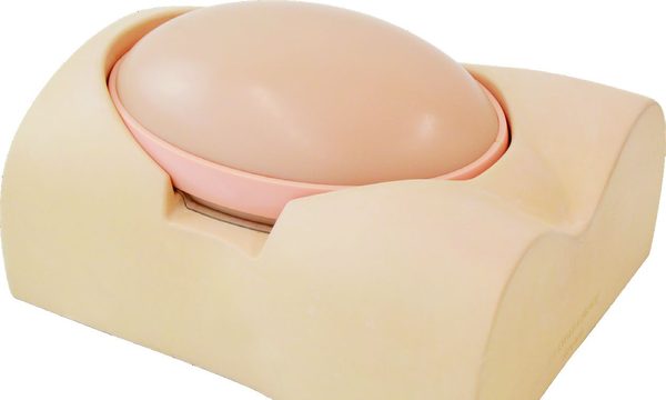 US-7B SPACE FAN-ST HEART — Fetus Ultrasound Phantom — fantoma Kyoto Kagaku distribuido en México por Radical One