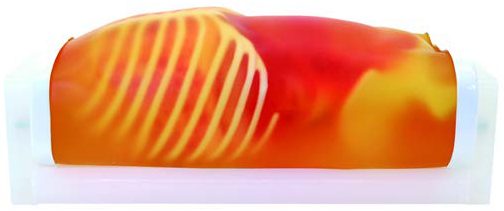 US-8 Pediatric FAST/Acute Abdomen Phantom — fantoma Kyoto Kagaku distribuido en México por Radical One